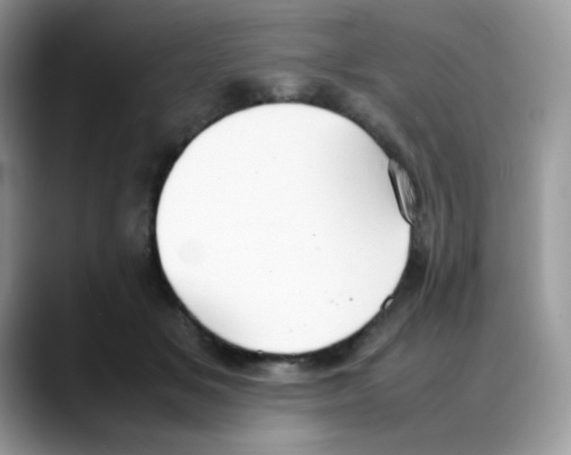 X0000088150509200706111446