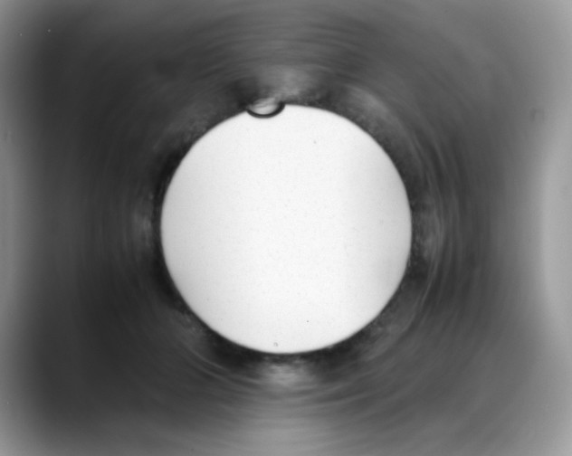 X0000088150510200706111446