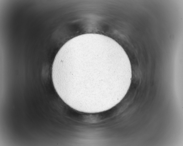 X0000088150511200706111446