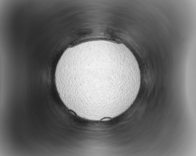 X0000088150512200706111446