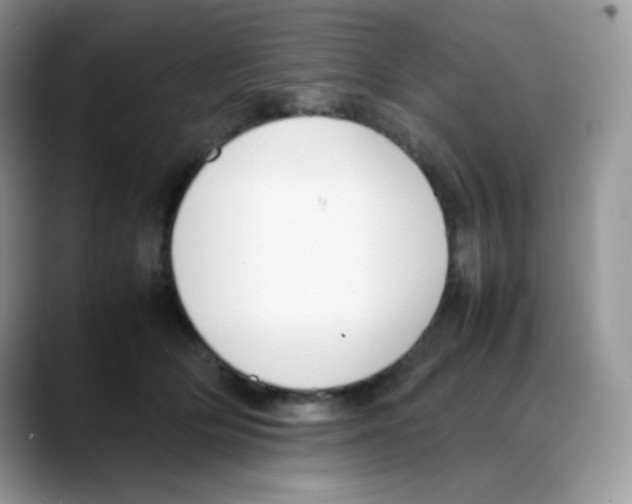 X0000088150514200706111446