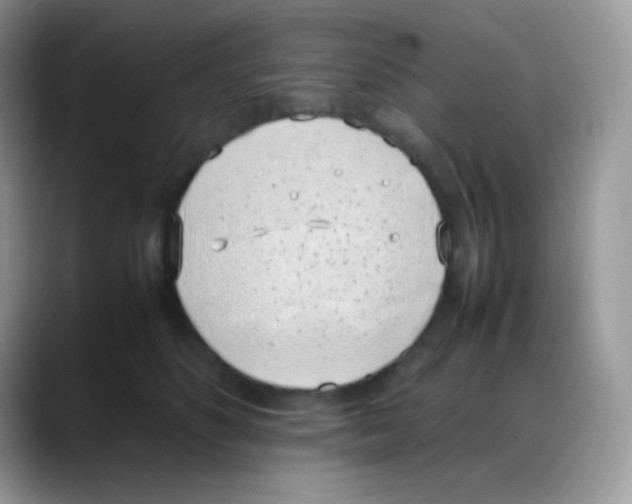 X0000088150516200706111446