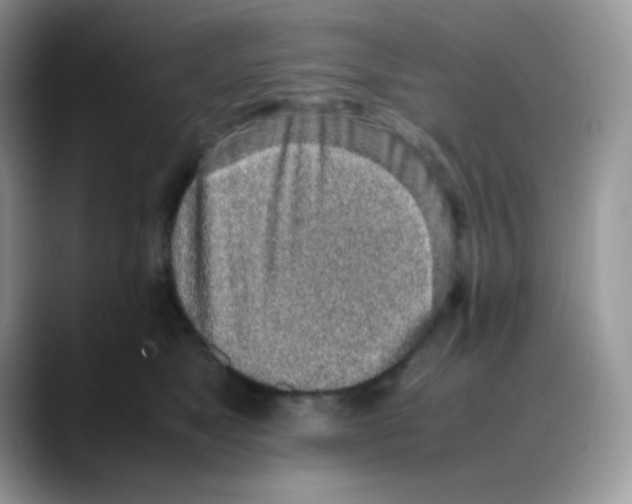 X0000088150517200706111446