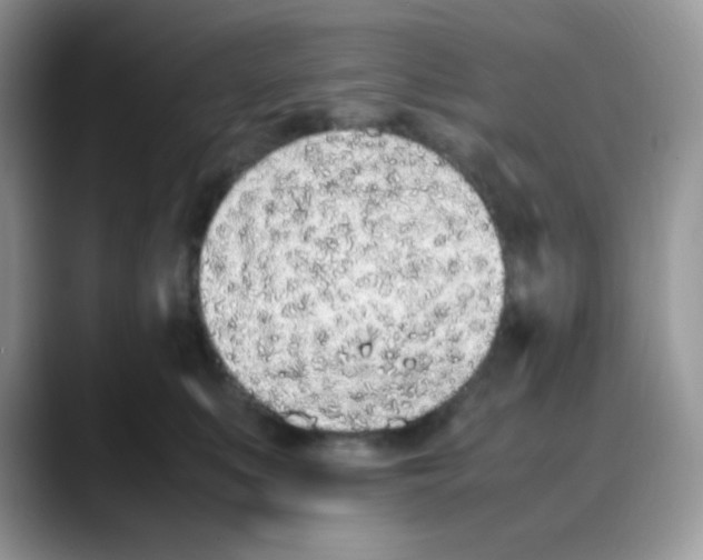 X0000088150519200706111446