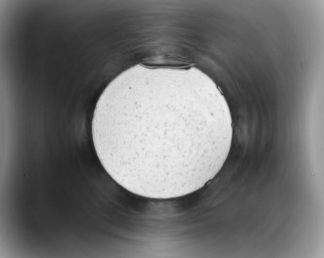 X0000088150520200706111446