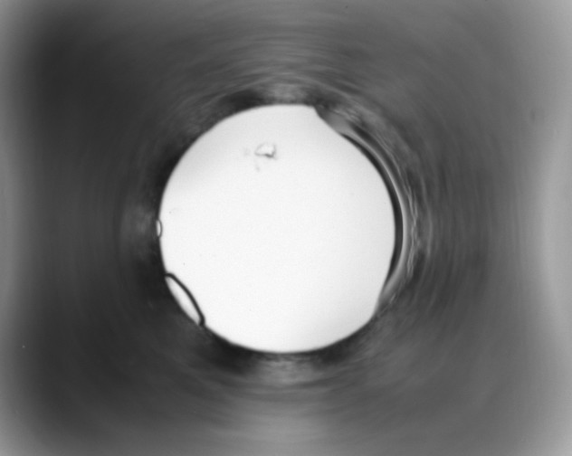 X0000088150521200706111446