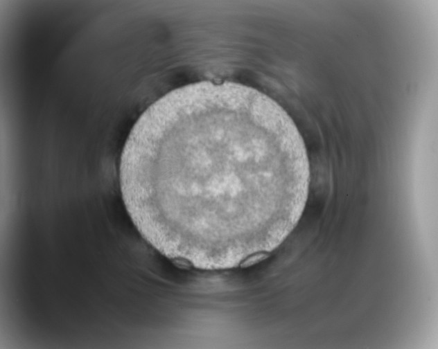 X0000088150523200706111446