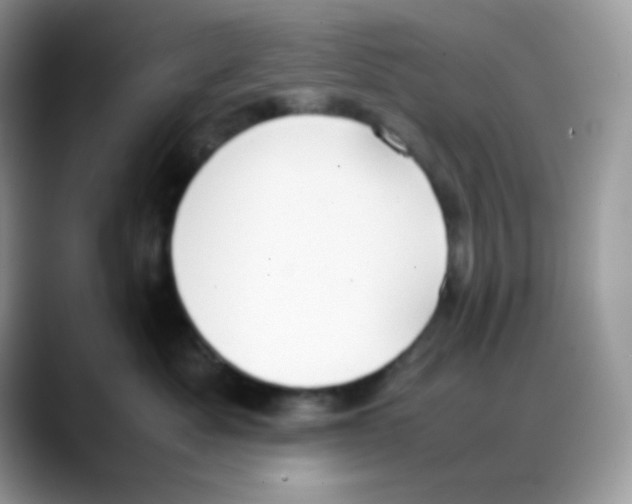 X0000088150525200706111446