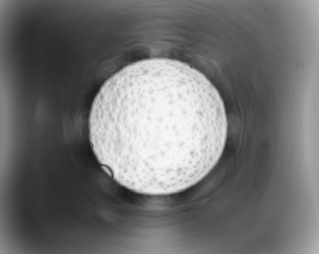 X0000088150527200706111446