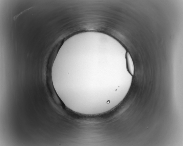 X0000088150530200706111445