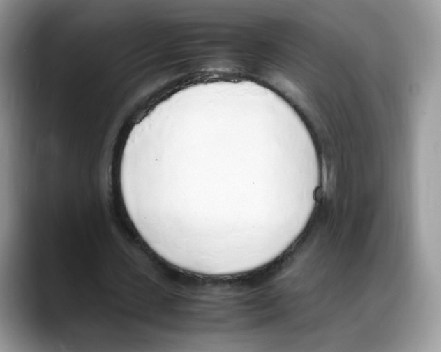 X0000088150531200706111445