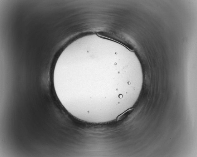 X0000088150532200706111445