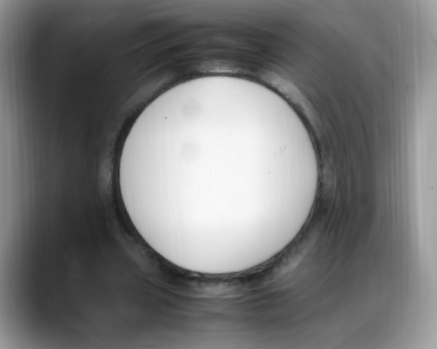 X0000088150533200706111445