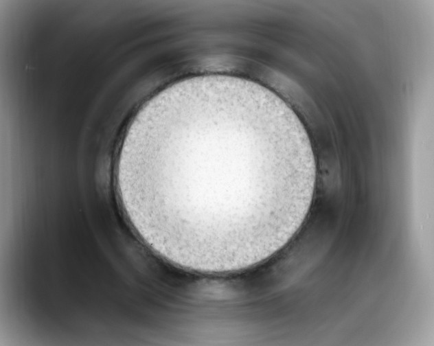 X0000088150534200706111445