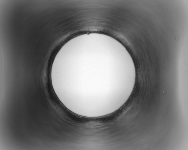 X0000088150536200706111445