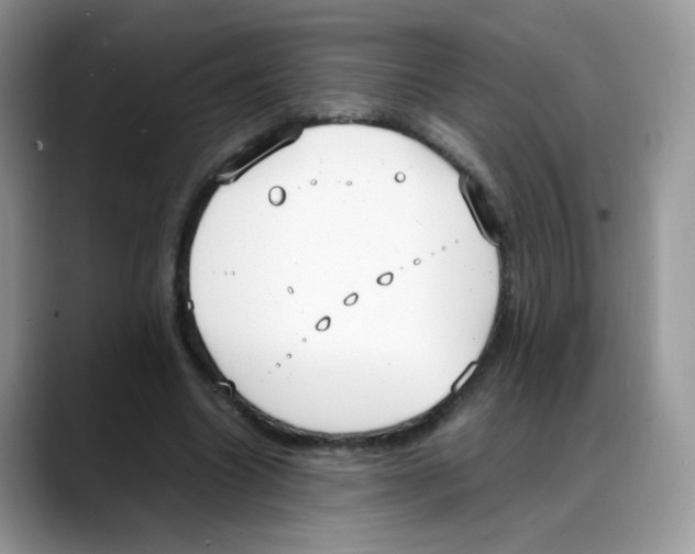 X0000088150538200706111445