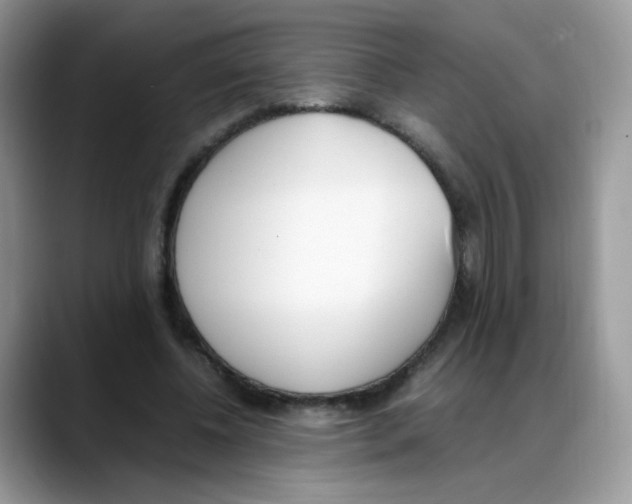 X0000088150540200706111445