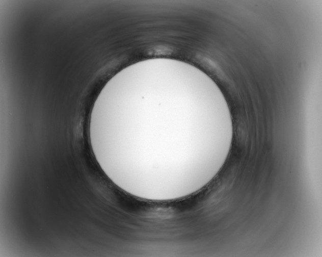 X0000088150543200706111445