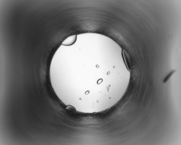 X0000088150544200706111445