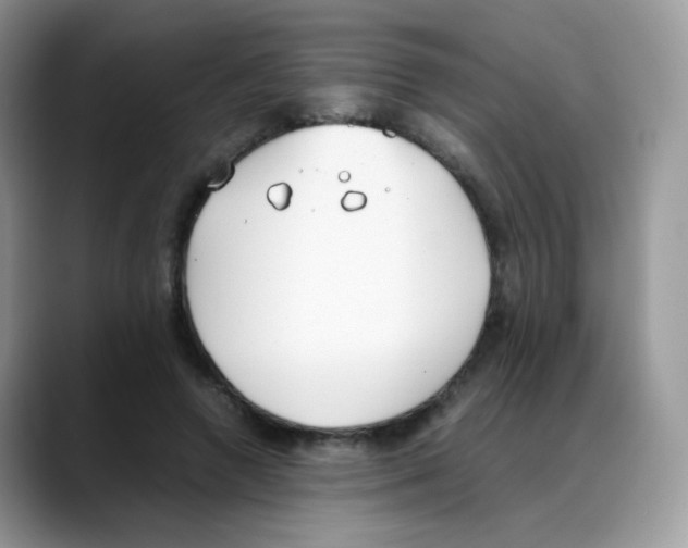 X0000088150546200706111445