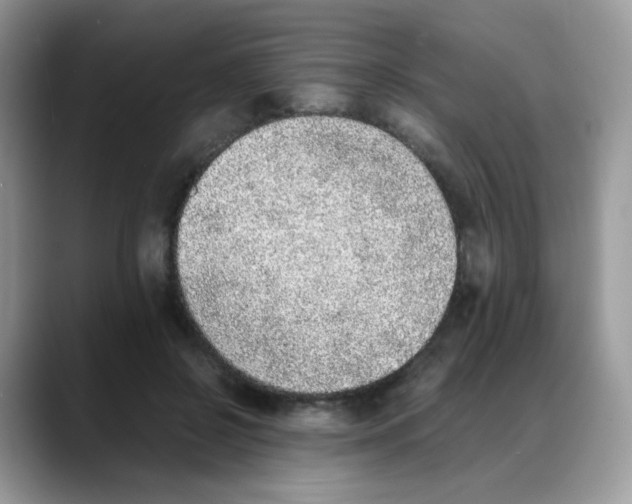 X0000088150550200706111445