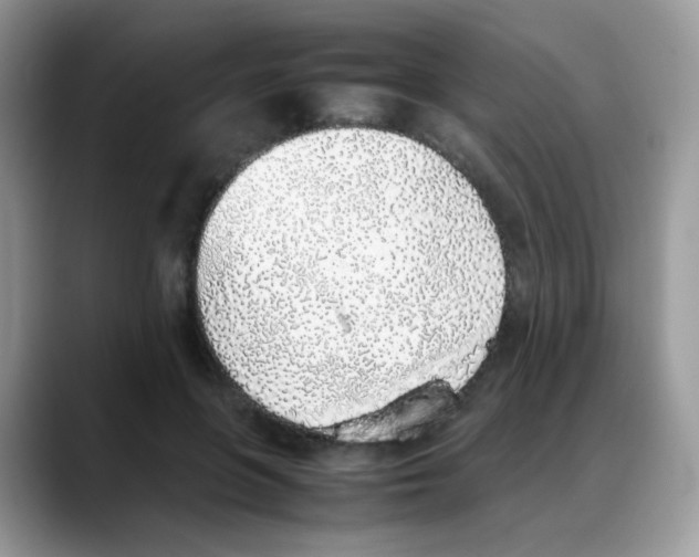 X0000088150551200706111445