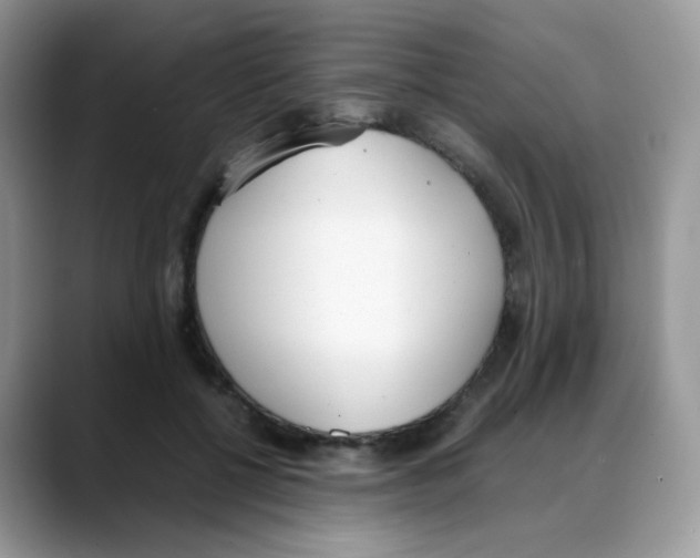 X0000088150552200706111445