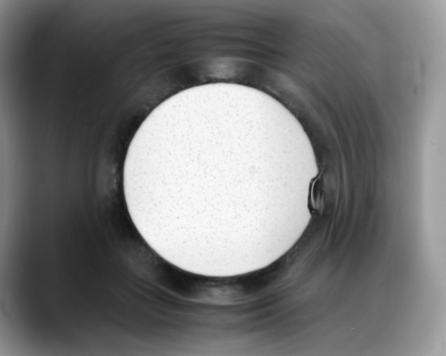 X0000088150555200706111445