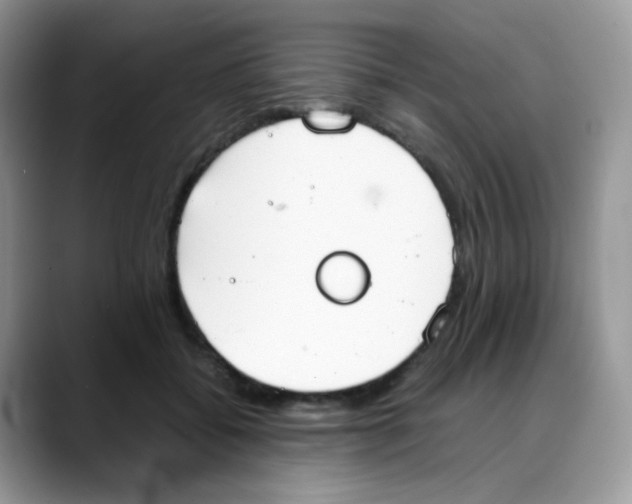 X0000088150556200706111445