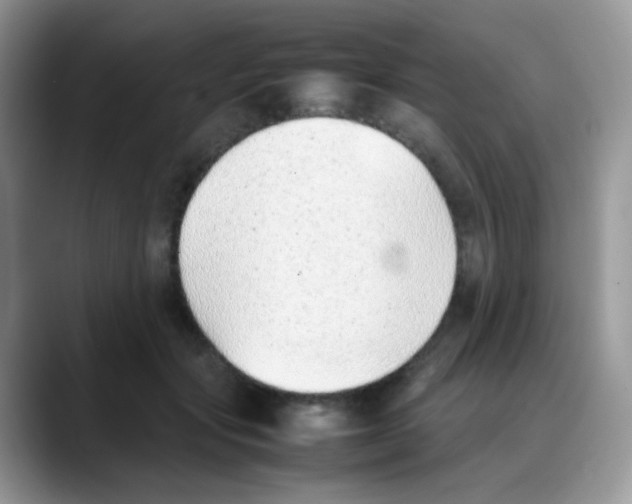 X0000088150557200706111445