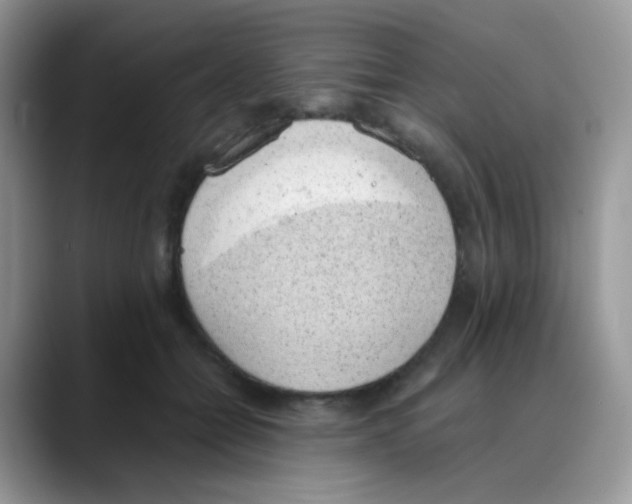 X0000088150558200706111445