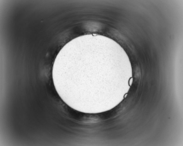 X0000088150559200706111445