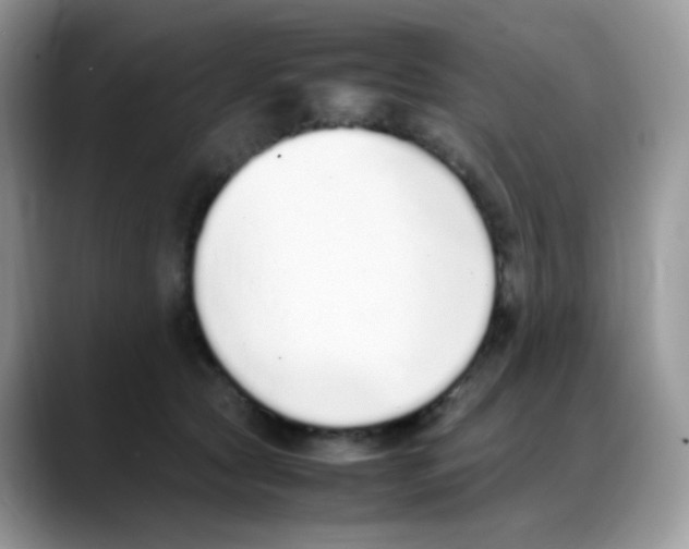 X0000088150561200706111445