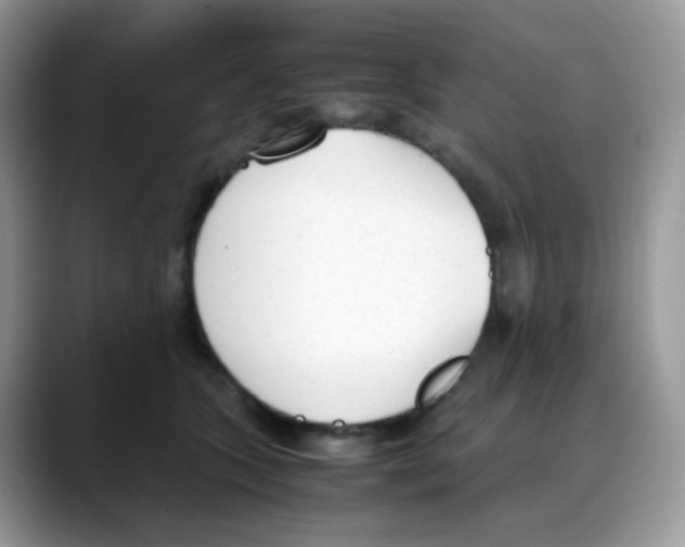 X0000088150563200706111445