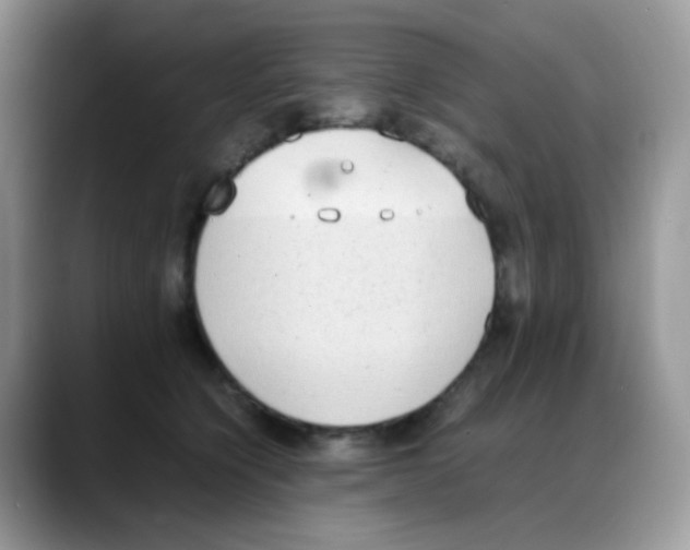 X0000088150564200706111445