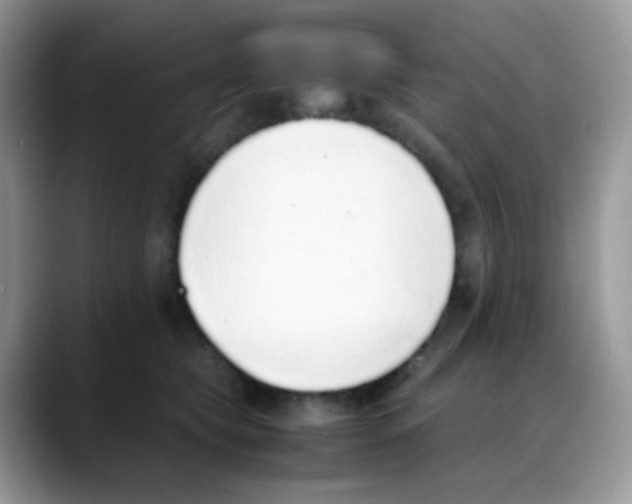 X0000088150565200706111445