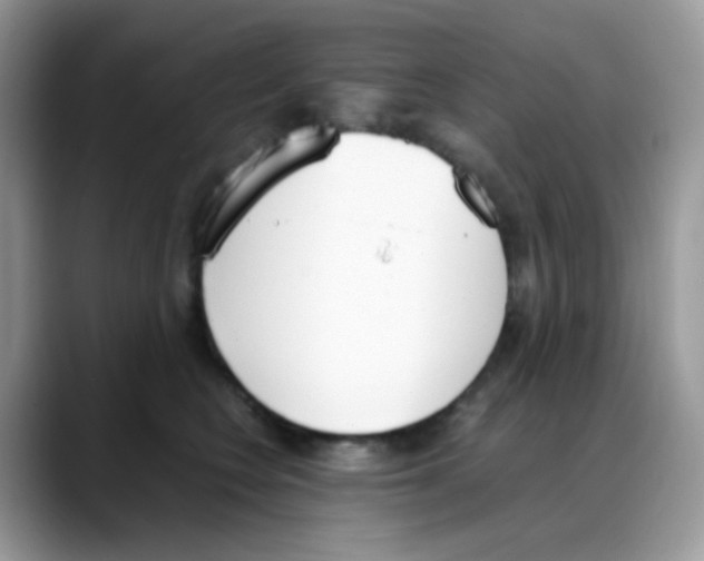 X0000088150566200706111445