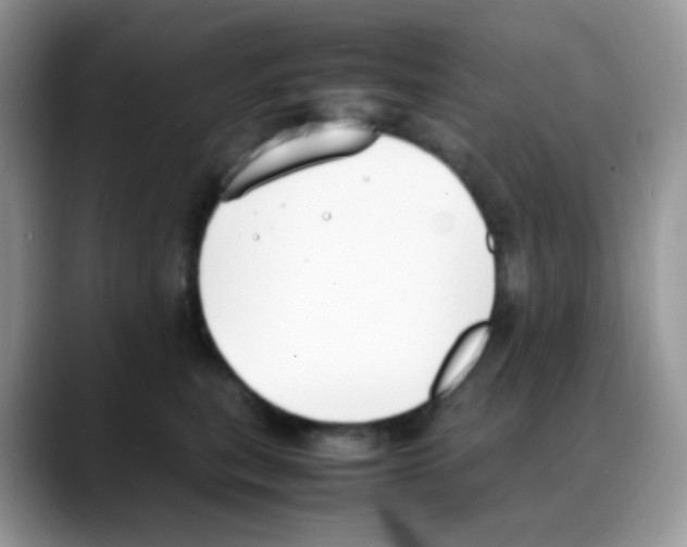 X0000088150567200706111445