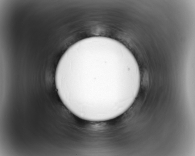 X0000088150569200706111445