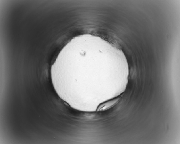 X0000088150570200706111445