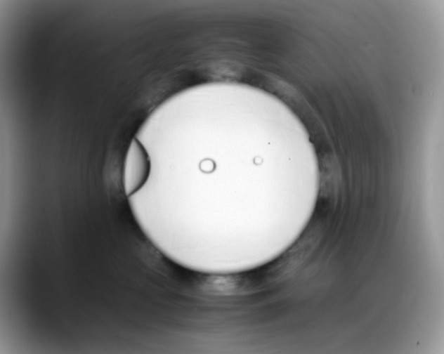 X0000088150573200706111445