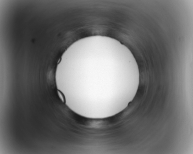 X0000088150575200706111445