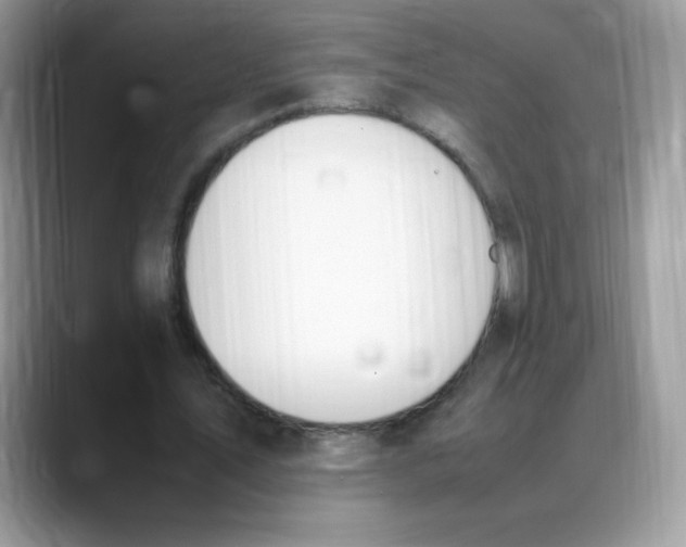 X0000088150579200706111445