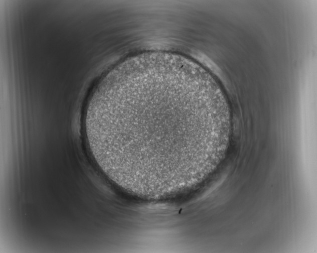 X0000088150581200706111445