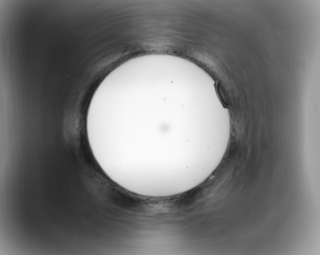 X0000088150583200706111445