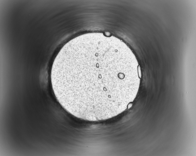 X0000088150584200706111445