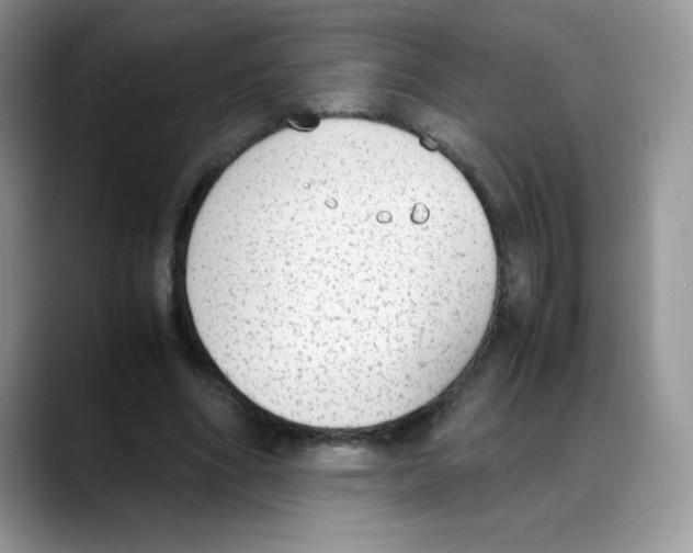 X0000088150586200706111445