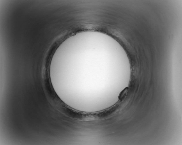 X0000088150587200706111445