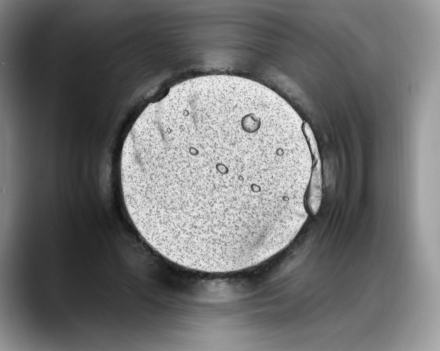 X0000088150588200706111445