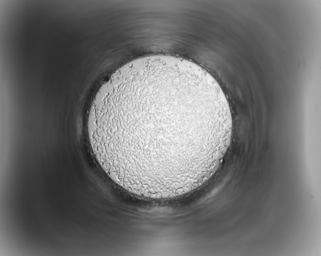 X0000088150589200706111445